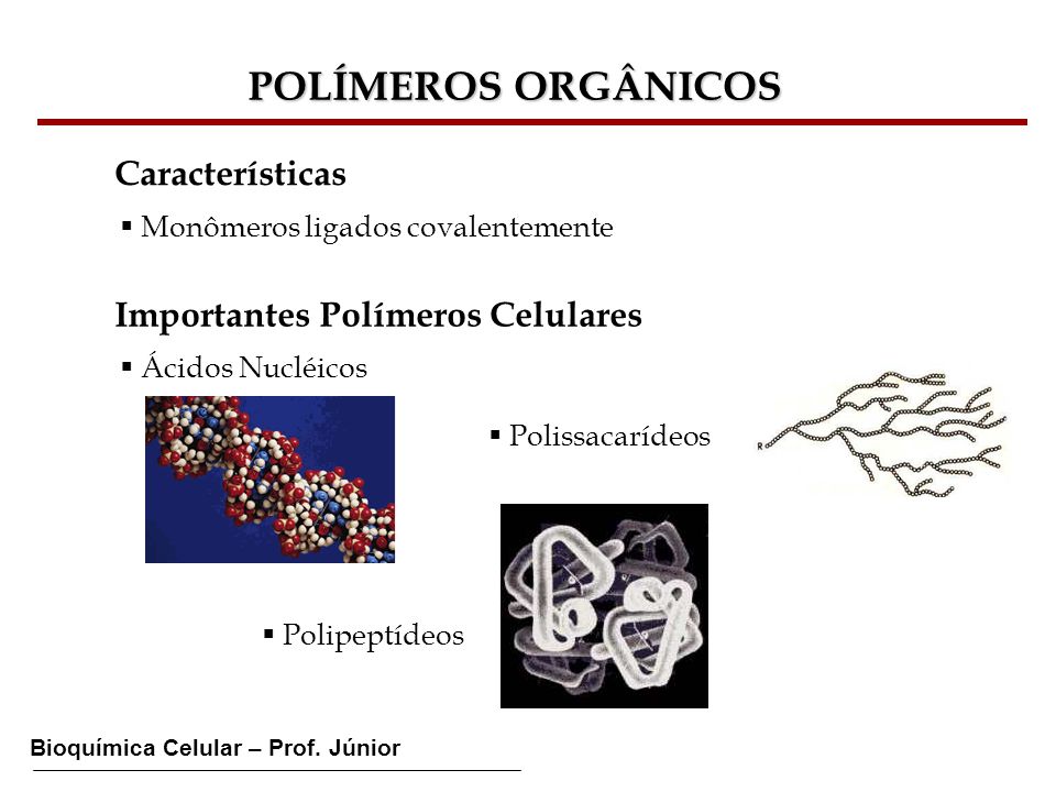 POLÍMEROS ORGÂNICOS Características Importantes Polímeros Celulares