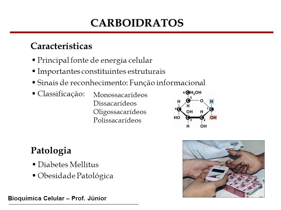 CARBOIDRATOS Características Patologia