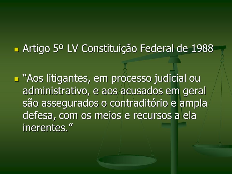 Artigo 5º LV Constituição Federal de 1988