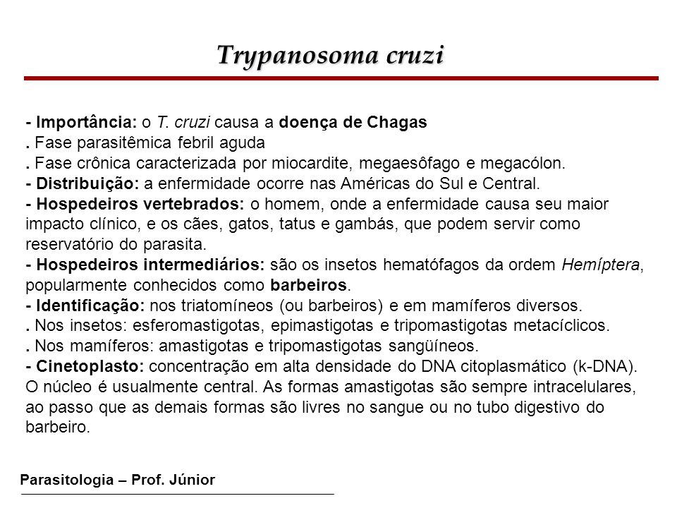 Trypanosoma cruzi - Importância: o T. cruzi causa a doença de Chagas