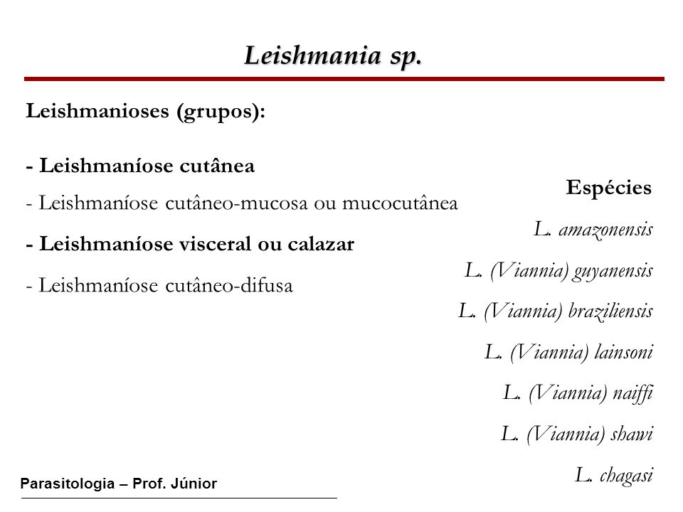 Leishmania sp. Leishmanioses (grupos): - Leishmaníose cutânea