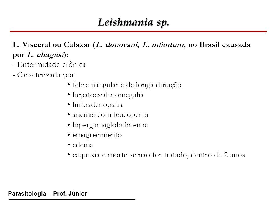 Leishmania sp. L. Visceral ou Calazar (L. donovani, L. infantum, no Brasil causada por L. chagasi):