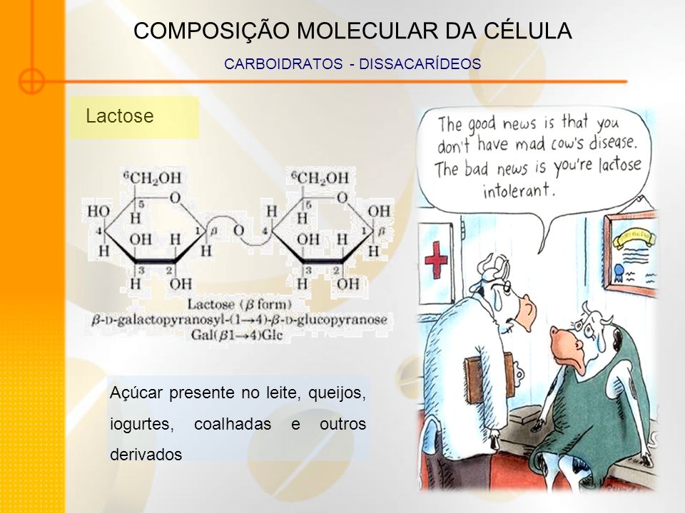 COMPOSIÇÃO MOLECULAR DA CÉLULA CARBOIDRATOS - DISSACARÍDEOS