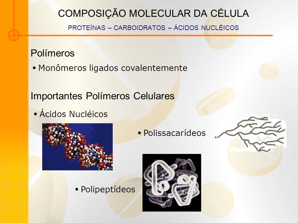 Importantes Polímeros Celulares