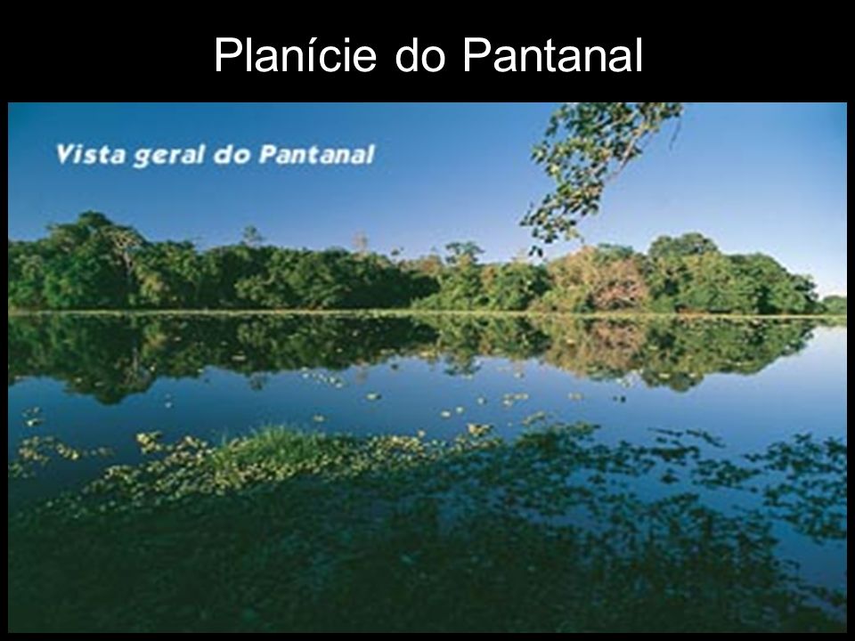 Planície do Pantanal