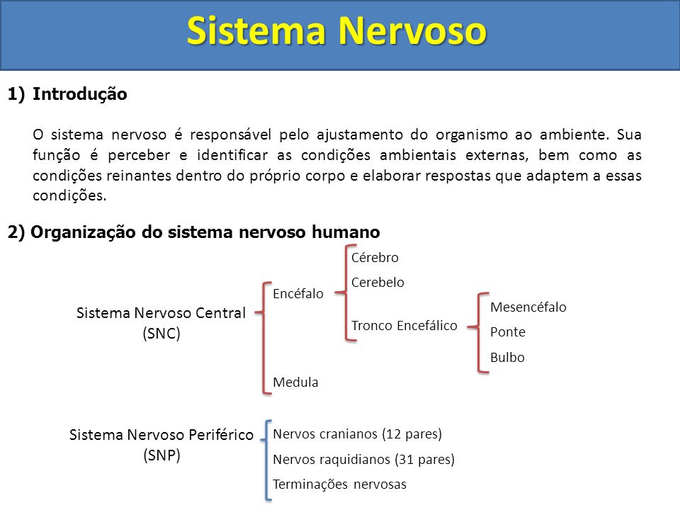 Sistema Nervoso Introdução