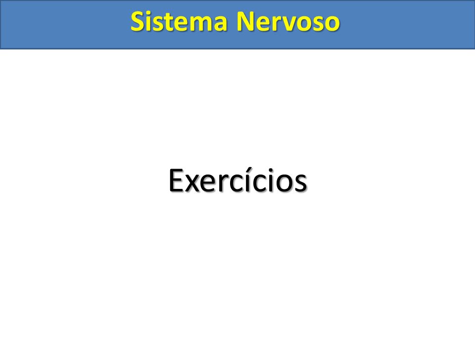 Sistema Nervoso Exercícios