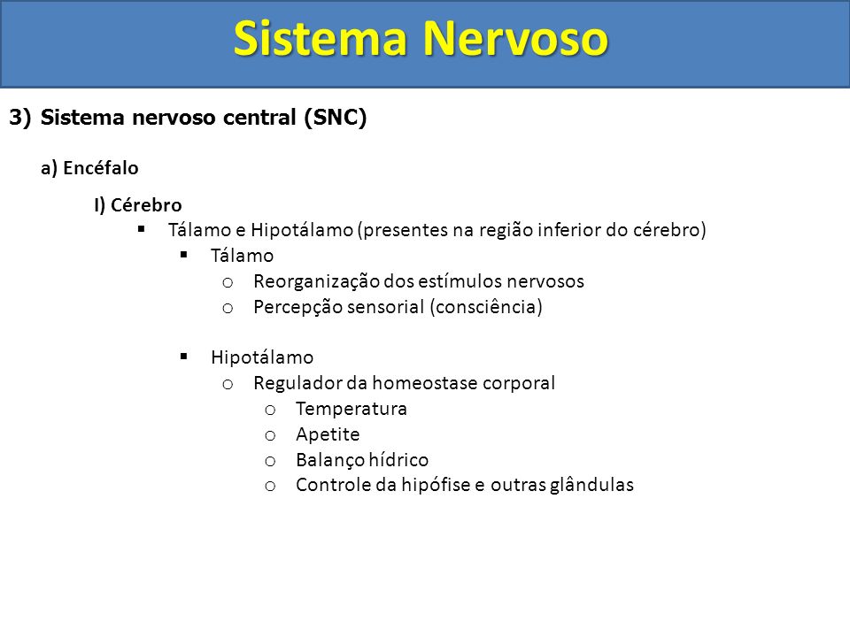 Sistema Nervoso Sistema nervoso central (SNC) a) Encéfalo I) Cérebro