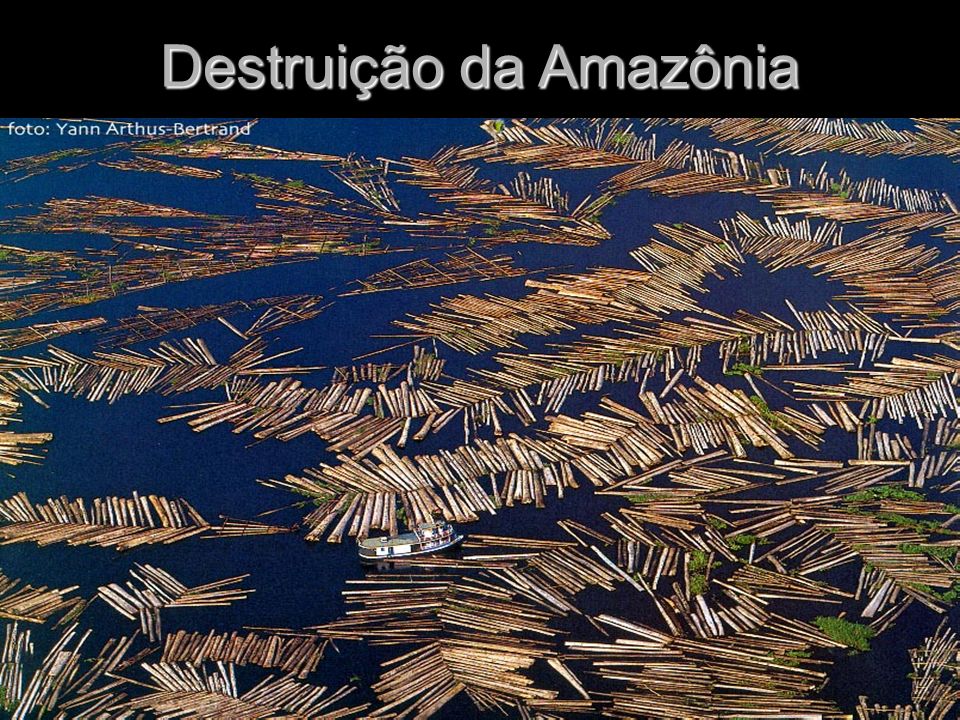 Destruição da Amazônia