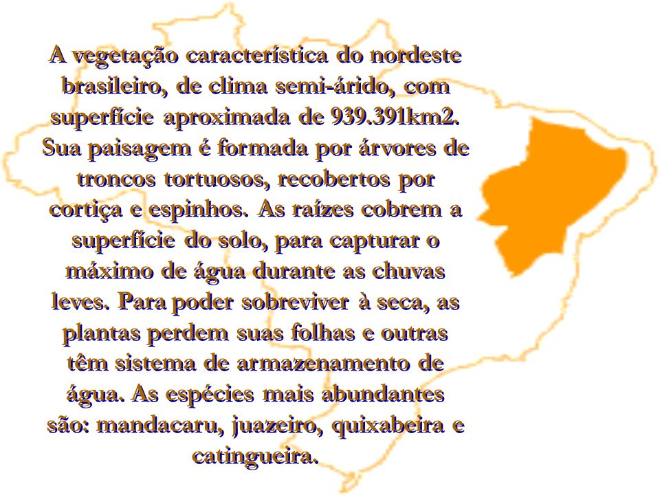 A vegetação característica do nordeste brasileiro, de clima semi-árido, com superfície aproximada de km2.