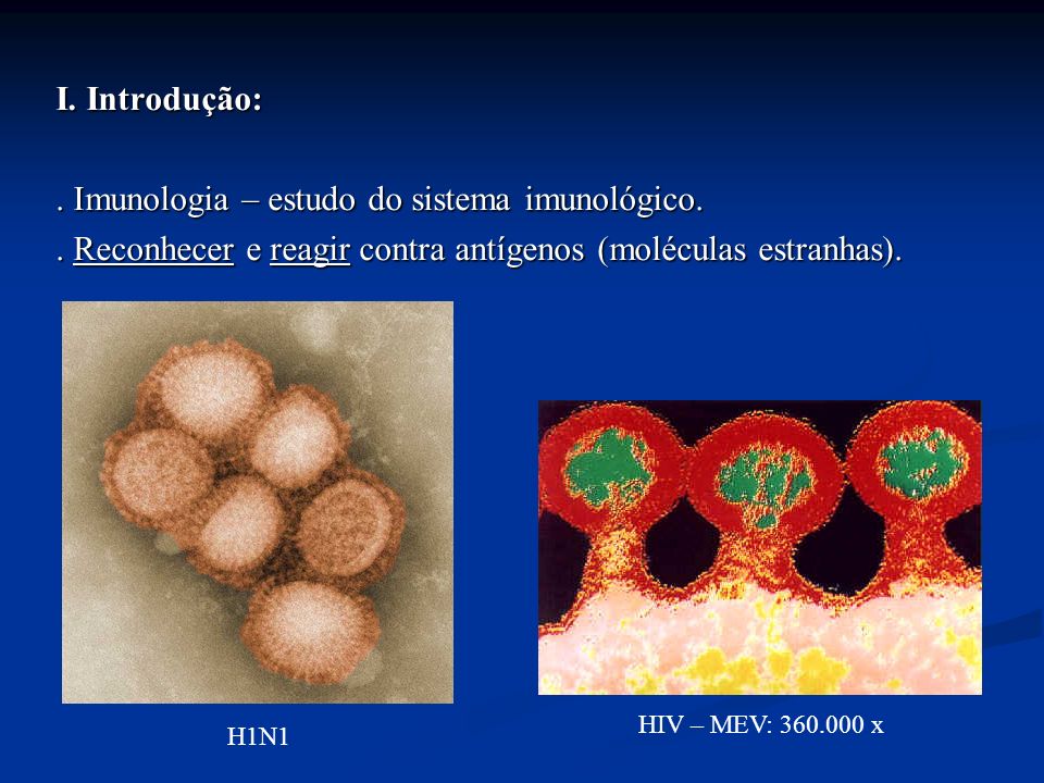 . Imunologia – estudo do sistema imunológico.