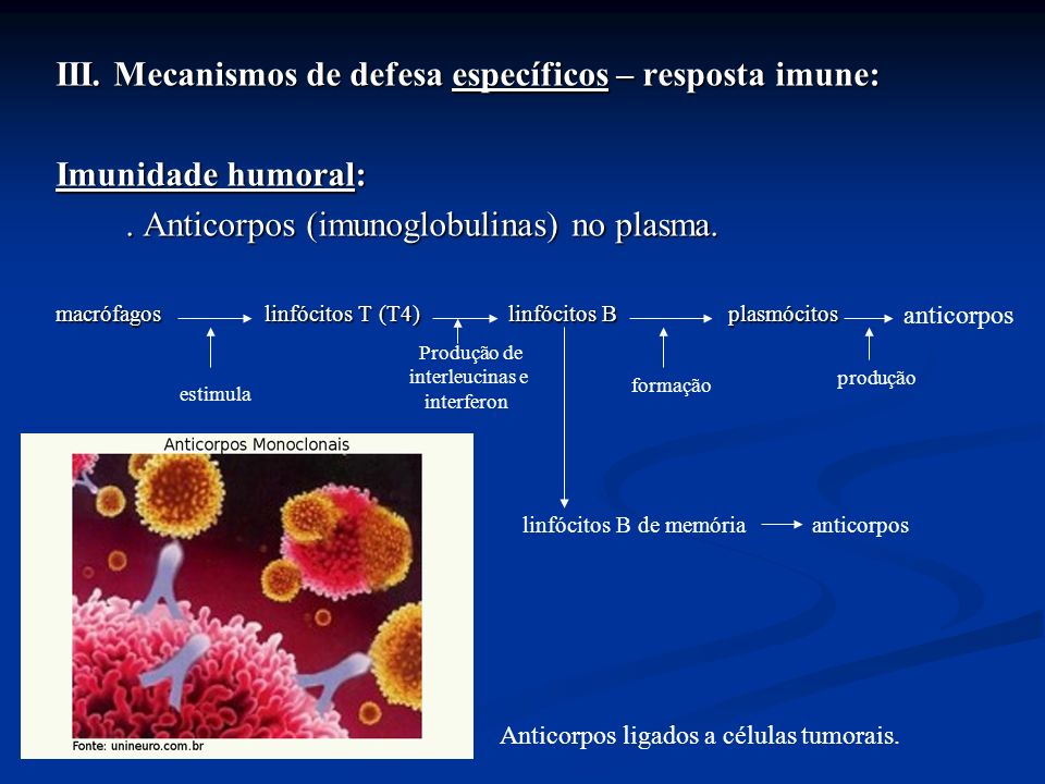 III. Mecanismos de defesa específicos – resposta imune: