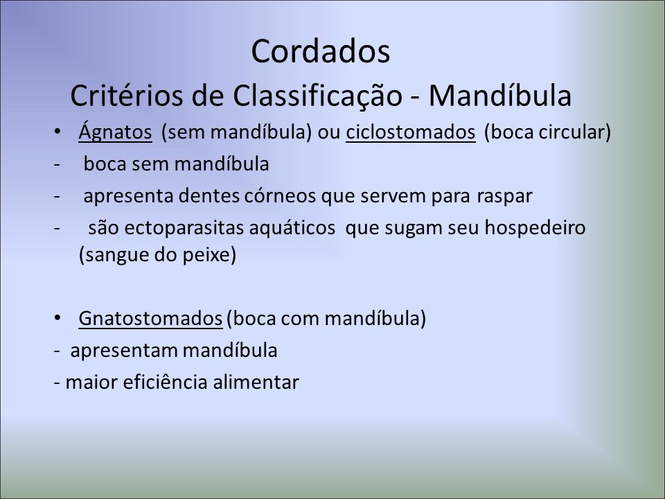 Critérios de Classificação - Mandíbula