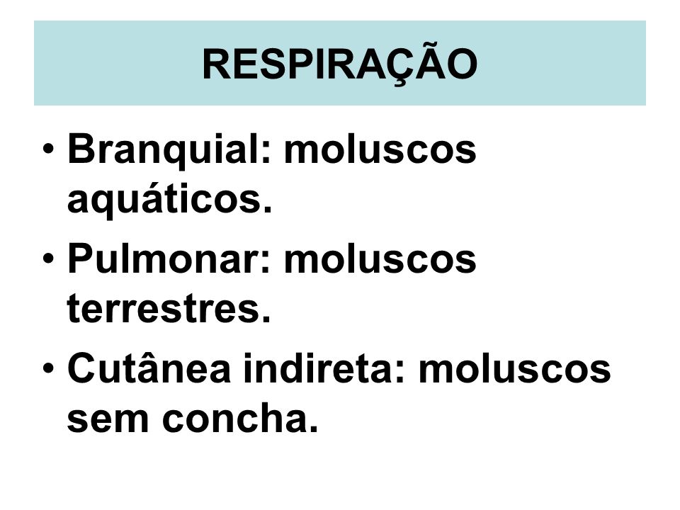 RESPIRAÇÃO Branquial: moluscos aquáticos. Pulmonar: moluscos terrestres.