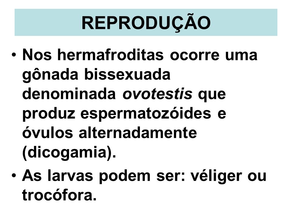 REPRODUÇÃO Nos hermafroditas ocorre uma gônada bissexuada denominada ovotestis que produz espermatozóides e óvulos alternadamente (dicogamia).