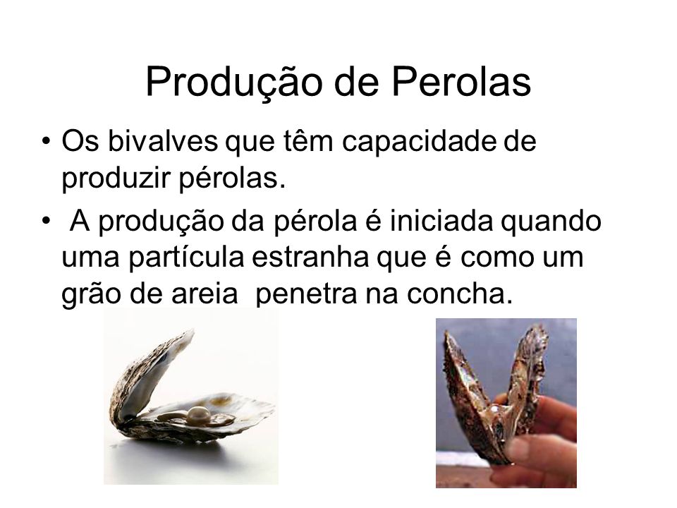 Produção de Perolas Os bivalves que têm capacidade de produzir pérolas.