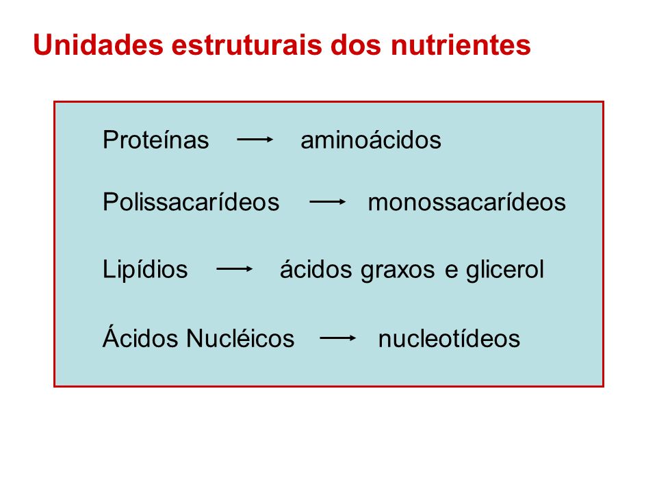 Unidades estruturais dos nutrientes