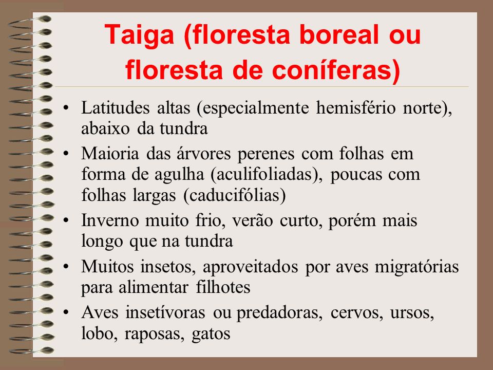 Taiga (floresta boreal ou floresta de coníferas)