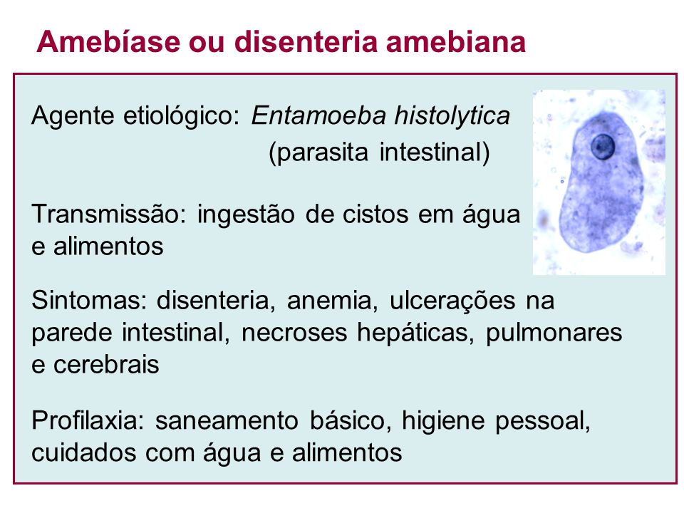 Amebíase ou disenteria amebiana