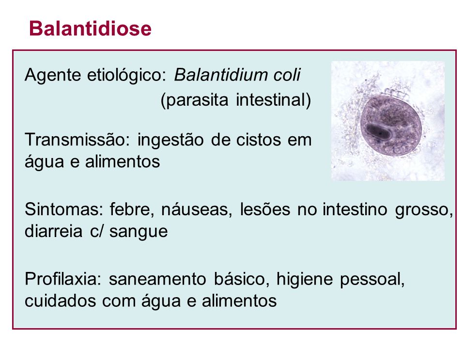 Balantidiose Agente etiológico: Balantidium coli (parasita intestinal)