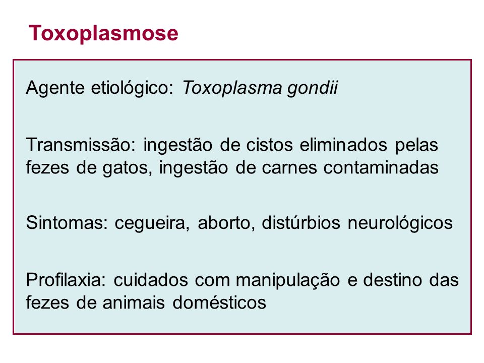 Toxoplasmose Agente etiológico: Toxoplasma gondii