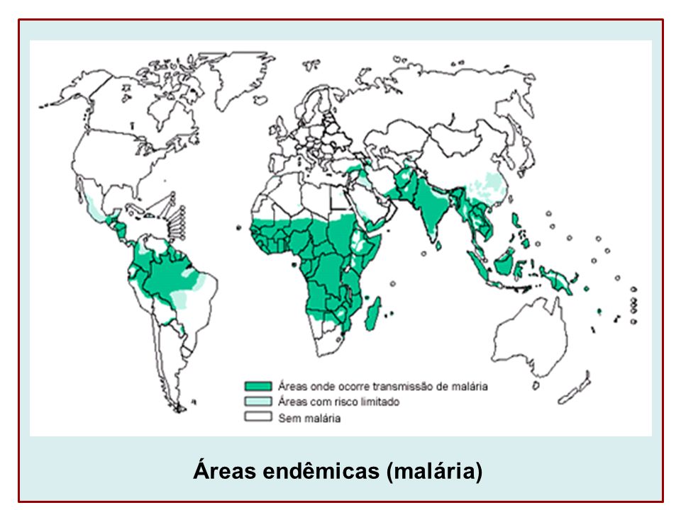 Áreas endêmicas (malária)