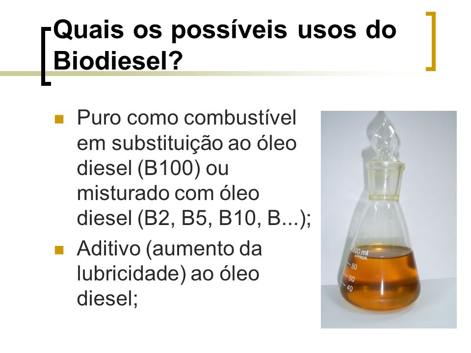 Quais os possíveis usos do Biodiesel