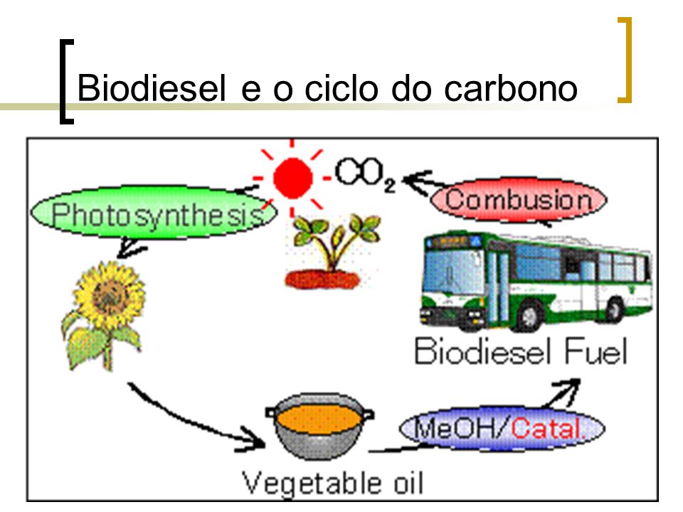 Biodiesel e o ciclo do carbono