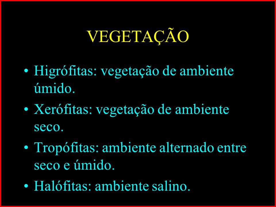 VEGETAÇÃO Higrófitas: vegetação de ambiente úmido.