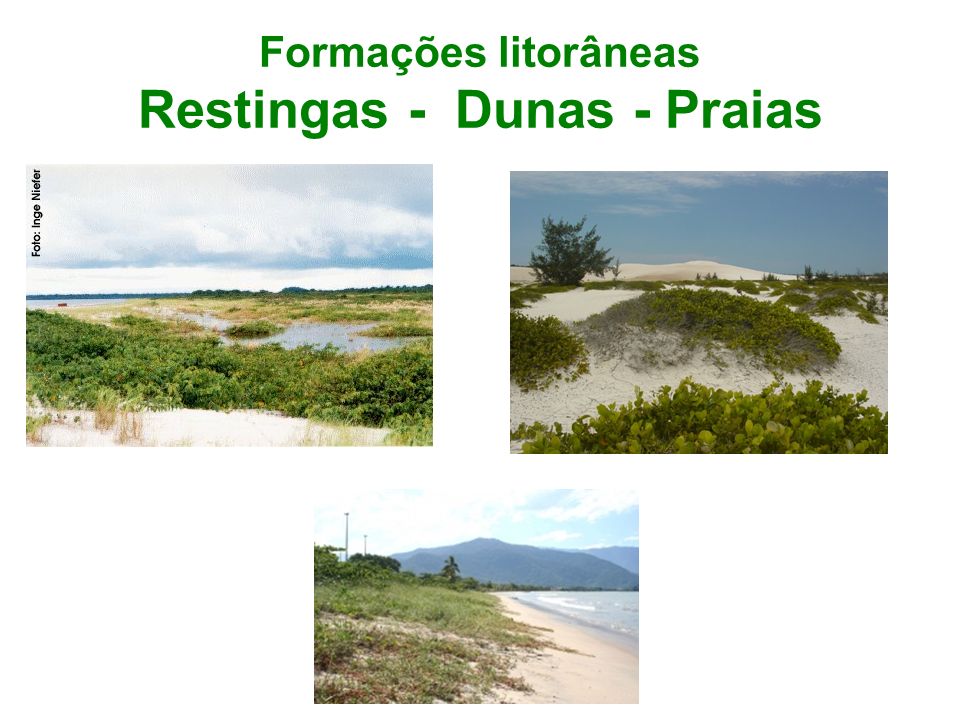 Formações litorâneas Restingas - Dunas - Praias
