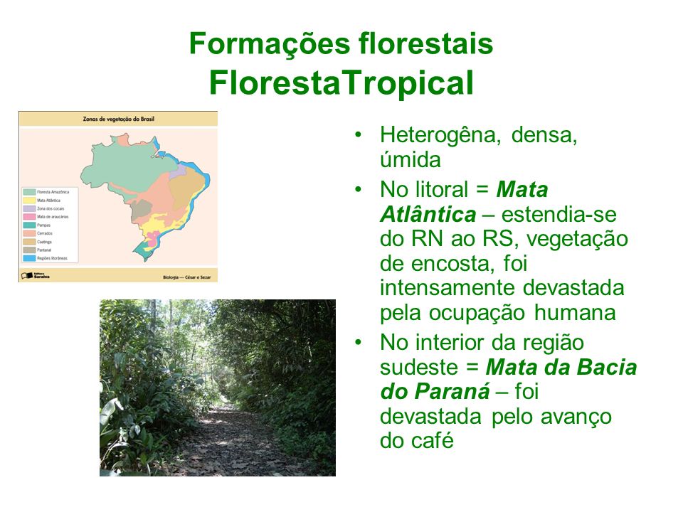Formações florestais FlorestaTropical