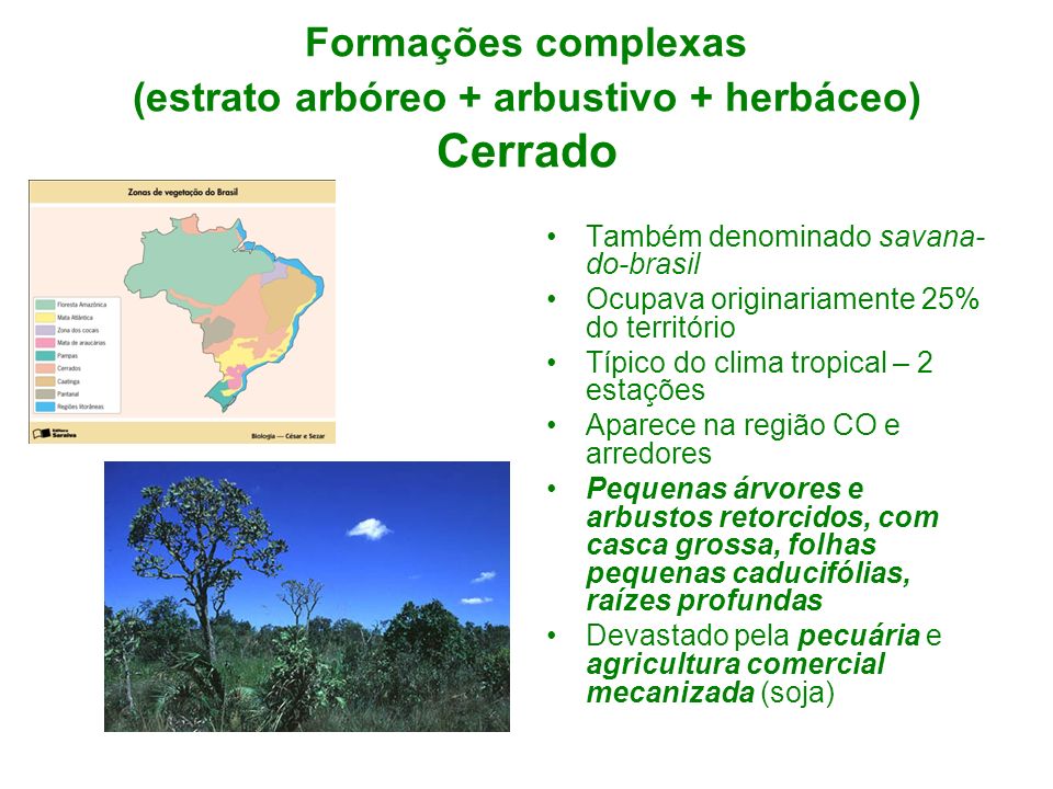 Formações complexas (estrato arbóreo + arbustivo + herbáceo) Cerrado