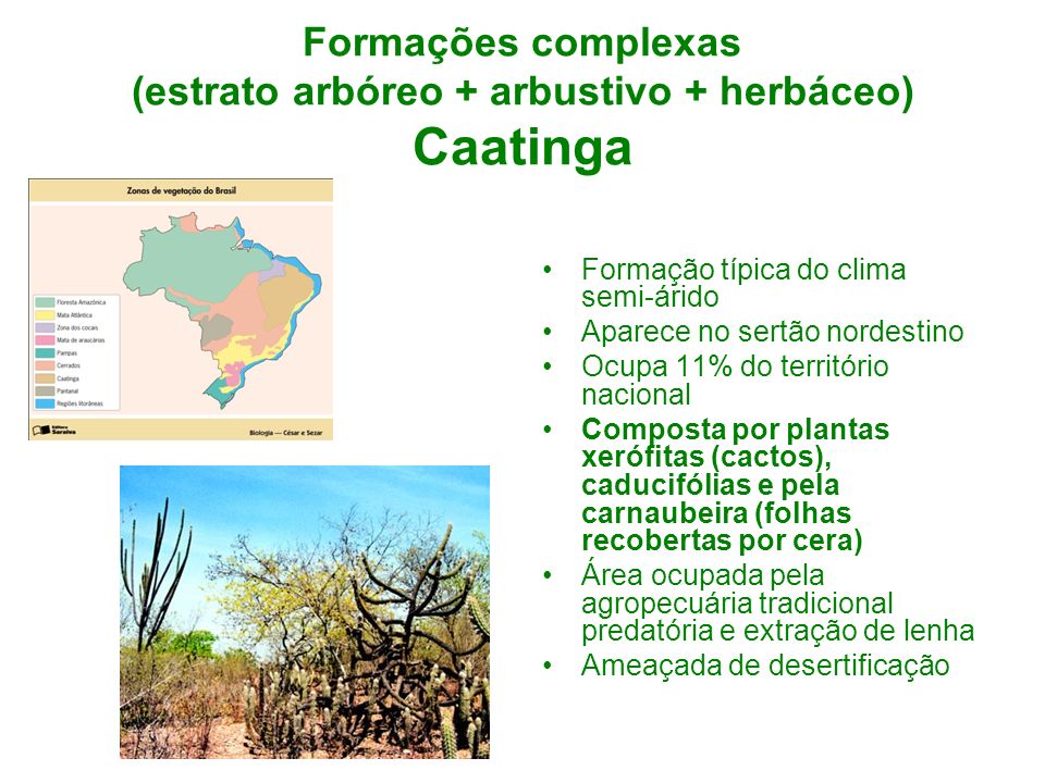 Formações complexas (estrato arbóreo + arbustivo + herbáceo) Caatinga