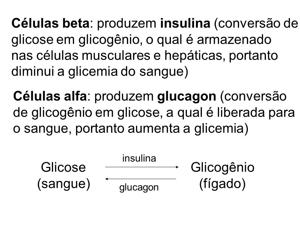 Células beta: produzem insulina (conversão de