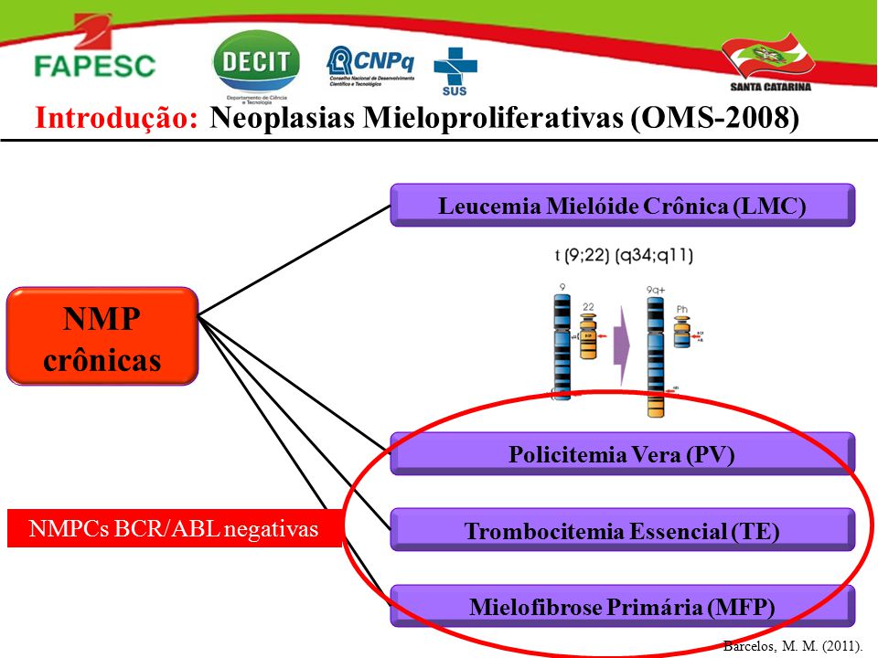 Diagnóstico hematológico e molecular das neoplasias mieloproliferativas  crônicas BCR-ABL negativas - Revista RBAC