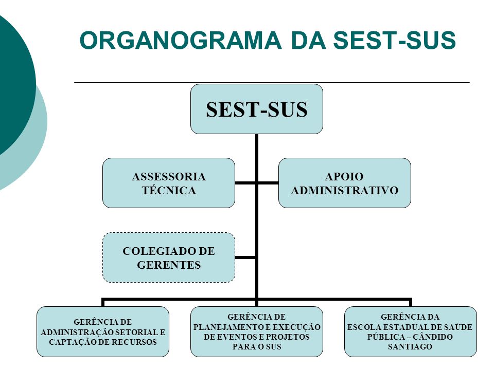 ORGANOGRAMA DA SEST-SUS