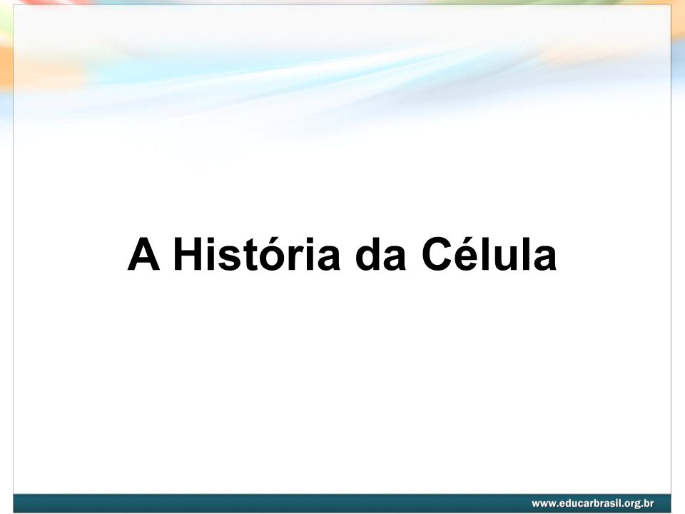A História da Célula