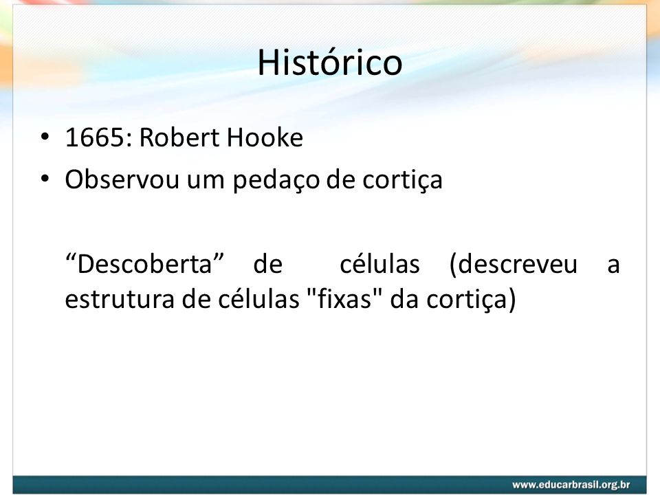 Histórico 1665: Robert Hooke Observou um pedaço de cortiça