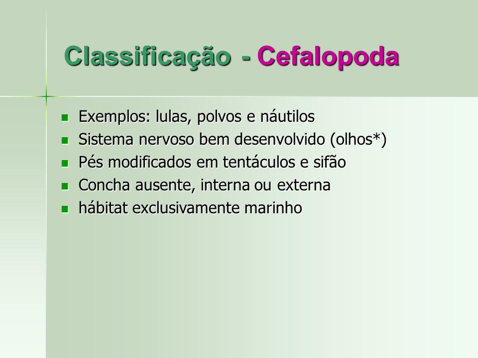 Classificação - Cefalopoda