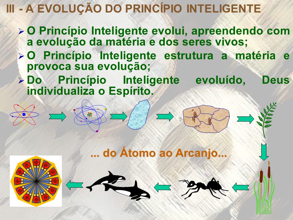 III - A EVOLUÇÃO DO PRINCÍPIO INTELIGENTE