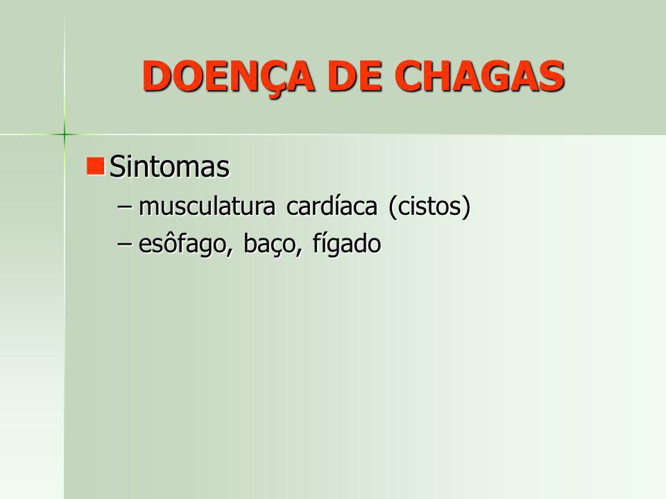 DOENÇA DE CHAGAS Sintomas musculatura cardíaca (cistos)