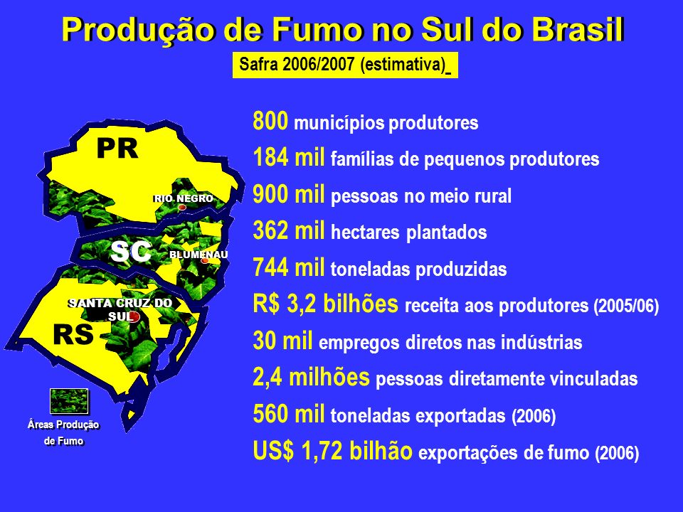 Produção de Fumo no Sul do Brasil