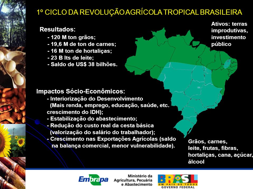 1º CICLO DA REVOLUÇÃO AGRÍCOLA TROPICAL BRASILEIRA