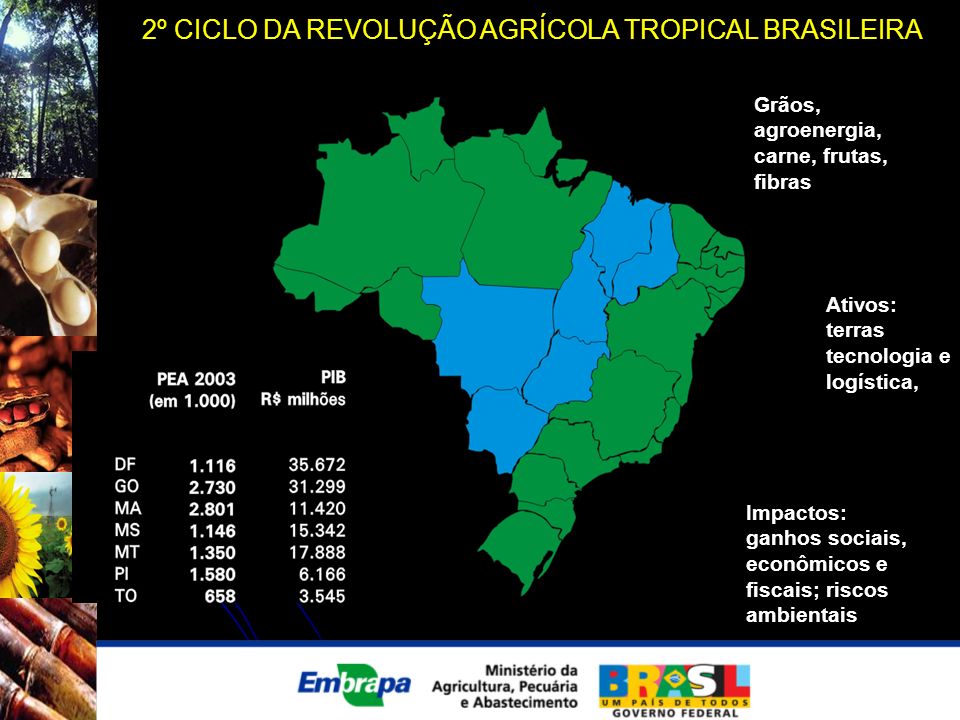 2º CICLO DA REVOLUÇÃO AGRÍCOLA TROPICAL BRASILEIRA