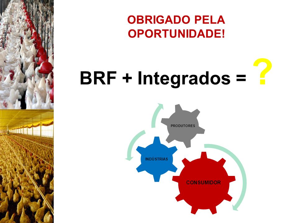 BRF + Integrados = OBRIGADO PELA OPORTUNIDADE! 25/08/09 CONSUMIDOR