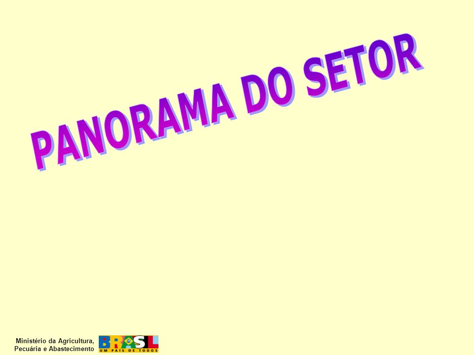 PANORAMA DO SETOR