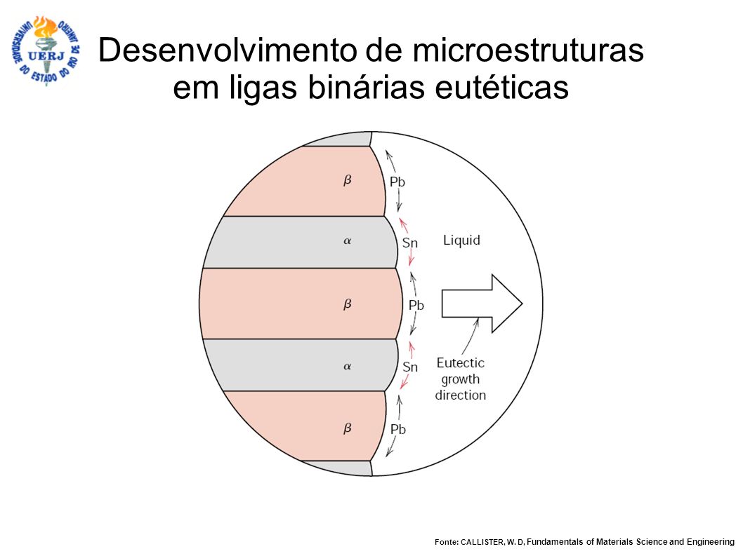 Desenvolvimento de microestruturas em ligas binárias eutéticas