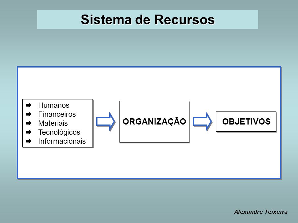Sistema de Recursos ORGANIZAÇÃO OBJETIVOS Humanos Financeiros