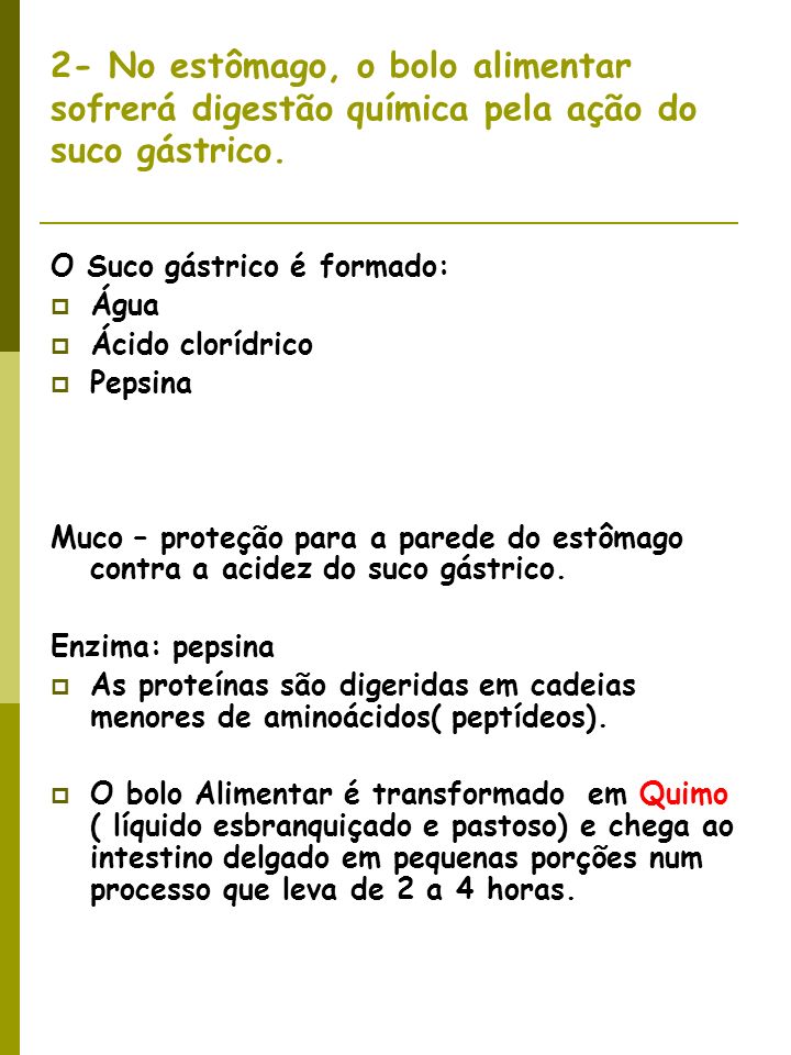 2- No estômago, o bolo alimentar sofrerá digestão química pela ação do suco gástrico.