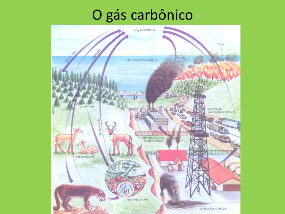 O gás carbônico